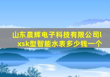 山东晨辉电子科技有限公司lxsk型智能水表多少钱一个