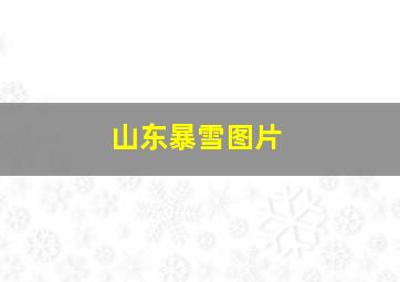 山东暴雪图片