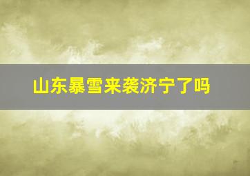 山东暴雪来袭济宁了吗