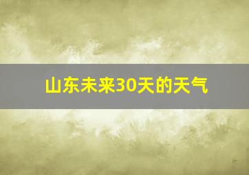 山东未来30天的天气