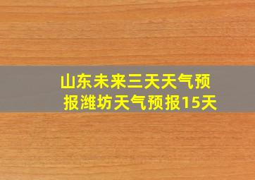 山东未来三天天气预报潍坊天气预报15天