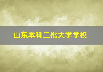 山东本科二批大学学校