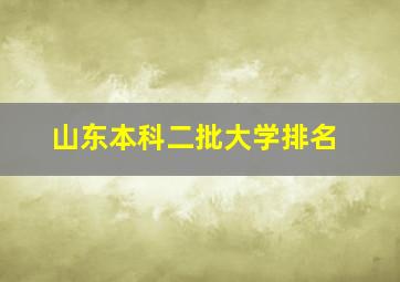 山东本科二批大学排名