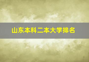 山东本科二本大学排名