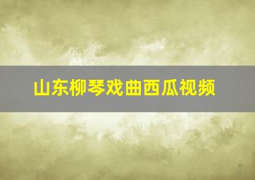 山东柳琴戏曲西瓜视频