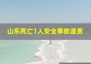 山东死亡1人安全事故追责