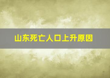 山东死亡人口上升原因