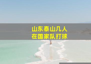 山东泰山几人在国家队打球