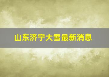 山东济宁大雪最新消息