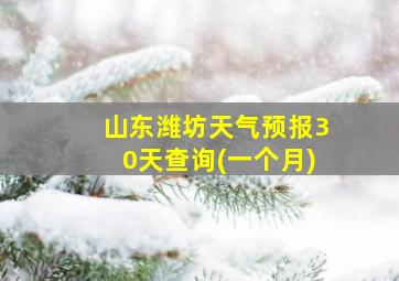 山东潍坊天气预报30天查询(一个月)