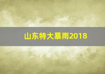 山东特大暴雨2018