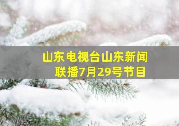 山东电视台山东新闻联播7月29号节目