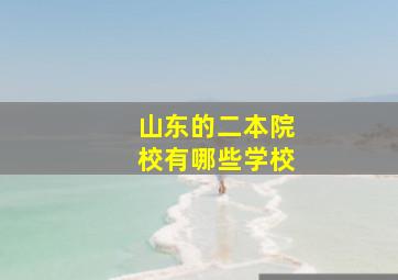 山东的二本院校有哪些学校