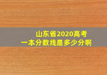 山东省2020高考一本分数线是多少分啊