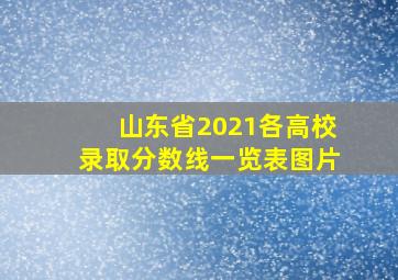 山东省2021各高校录取分数线一览表图片