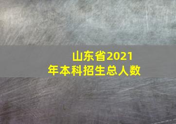 山东省2021年本科招生总人数