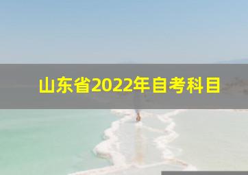 山东省2022年自考科目