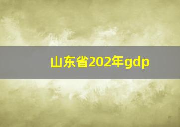 山东省202年gdp