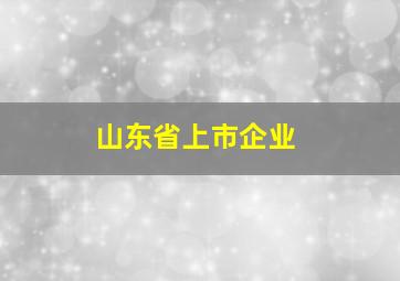 山东省上市企业