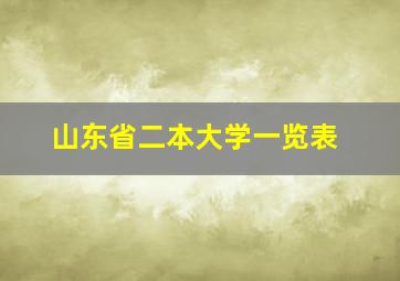 山东省二本大学一览表