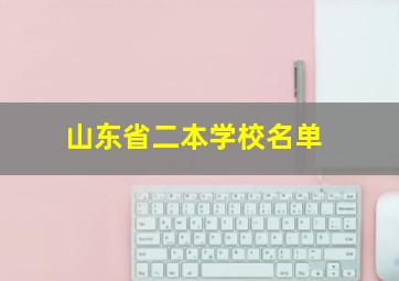 山东省二本学校名单