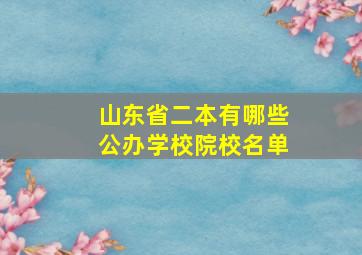 山东省二本有哪些公办学校院校名单