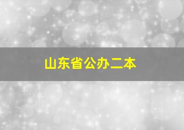 山东省公办二本