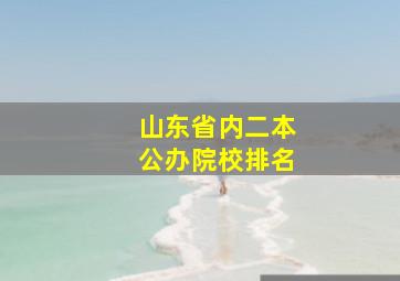 山东省内二本公办院校排名