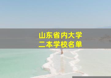 山东省内大学二本学校名单