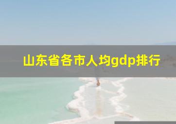 山东省各市人均gdp排行