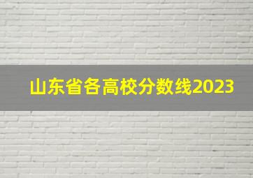 山东省各高校分数线2023