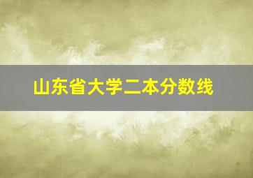 山东省大学二本分数线