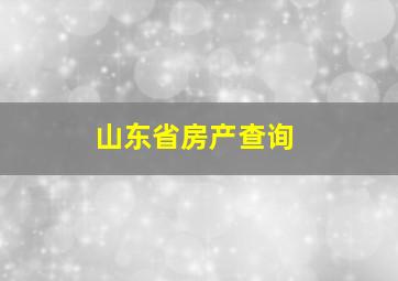 山东省房产查询