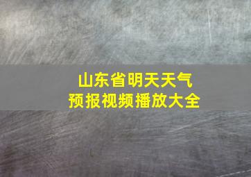 山东省明天天气预报视频播放大全