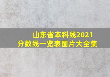 山东省本科线2021分数线一览表图片大全集