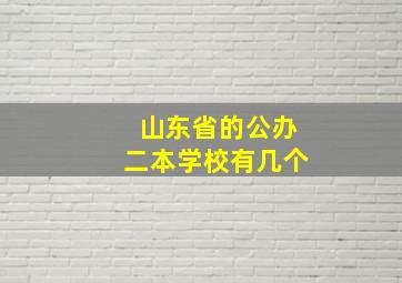 山东省的公办二本学校有几个