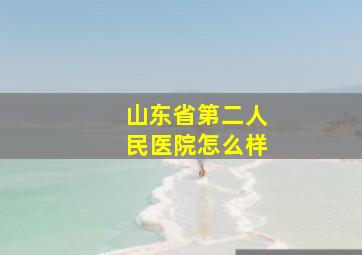 山东省第二人民医院怎么样