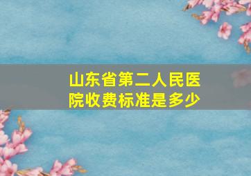 山东省第二人民医院收费标准是多少