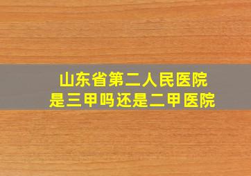 山东省第二人民医院是三甲吗还是二甲医院