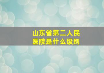 山东省第二人民医院是什么级别