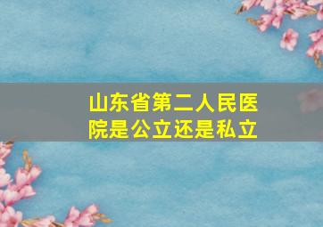 山东省第二人民医院是公立还是私立