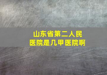 山东省第二人民医院是几甲医院啊