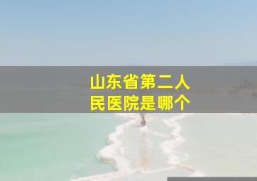 山东省第二人民医院是哪个