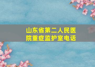 山东省第二人民医院重症监护室电话