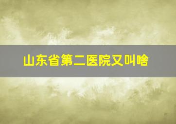 山东省第二医院又叫啥