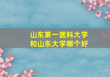 山东第一医科大学和山东大学哪个好