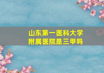 山东第一医科大学附属医院是三甲吗