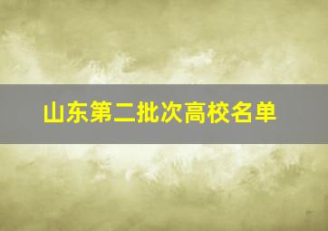 山东第二批次高校名单