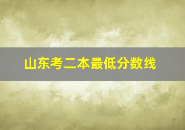 山东考二本最低分数线