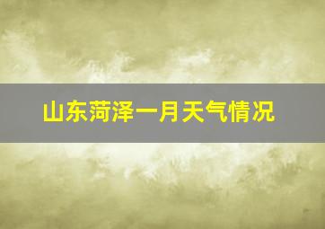 山东菏泽一月天气情况